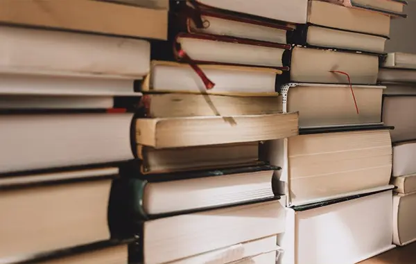 Estudos literários para vestibulares.